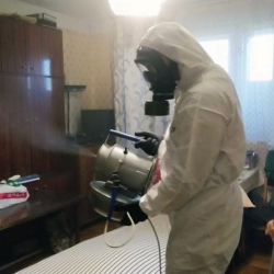 Дезинфекция от клопов в Лесных Полянах