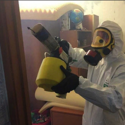 Уничтожение клопов в квартире. Лесные Поляны